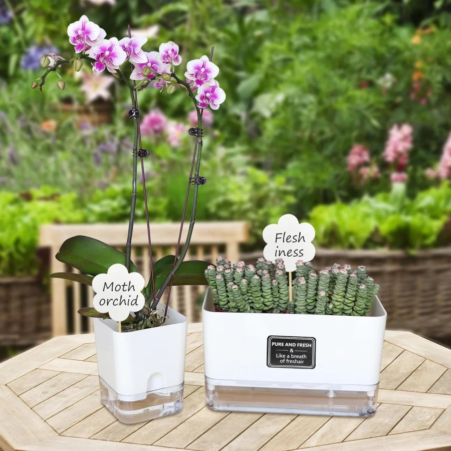 Se1e5f83f74b446d0bfeacb21492cb4dac